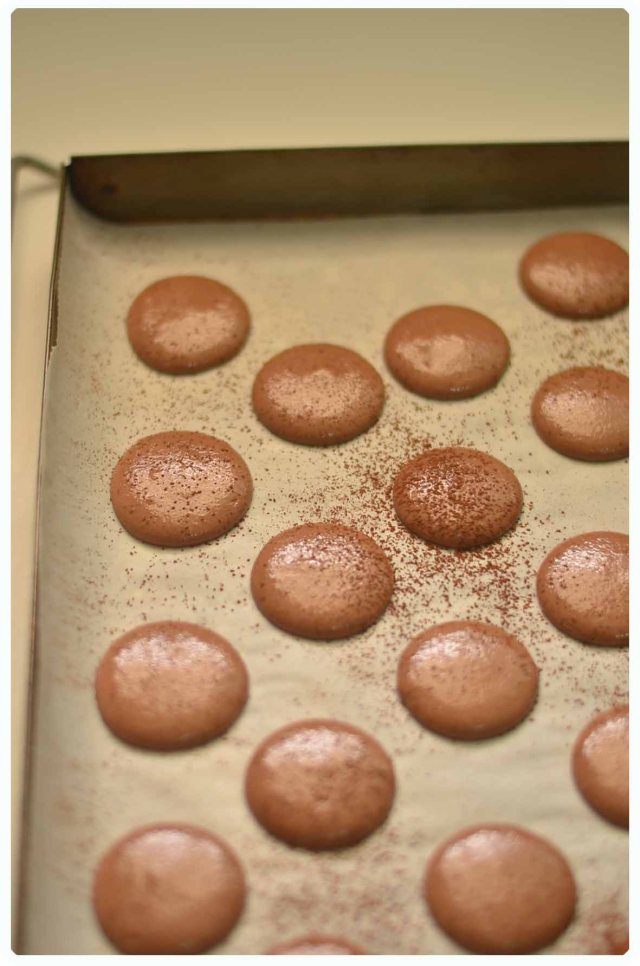 piped macarons